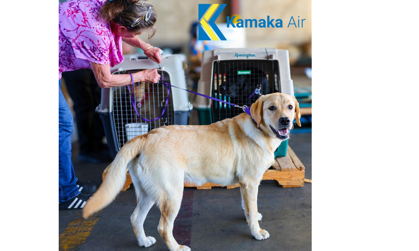 Kamaka Air