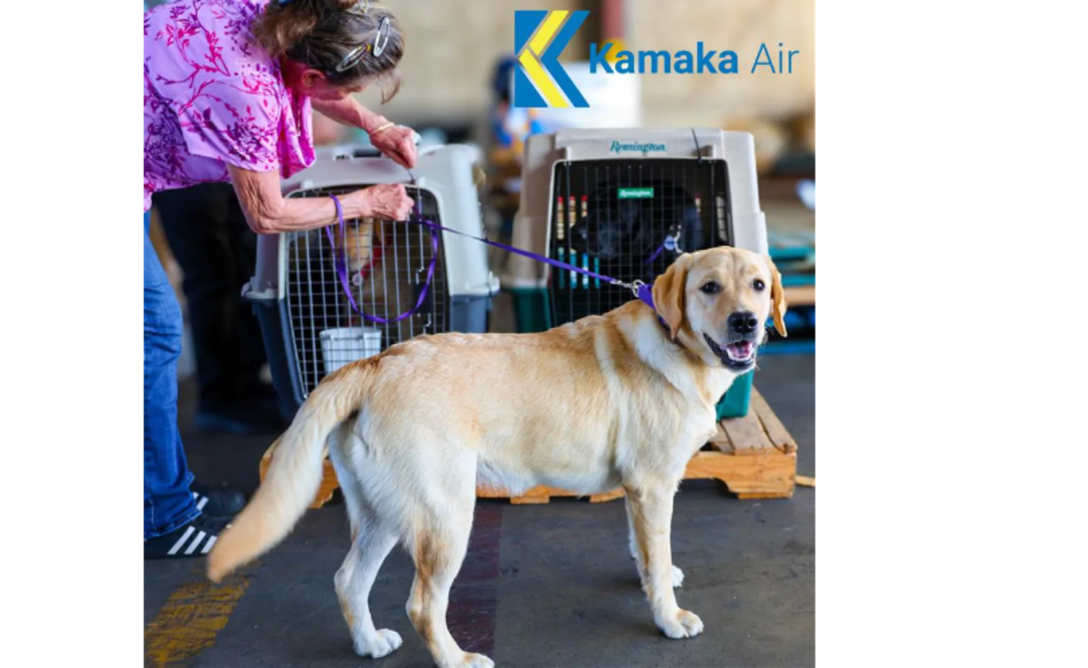 Kamaka Air Kamaka Air
