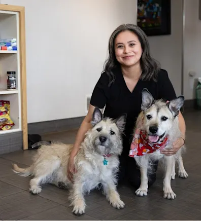 Denyse from McGilvray Veterinary Hospital Denyse from McGilvray Veterinary Hospital