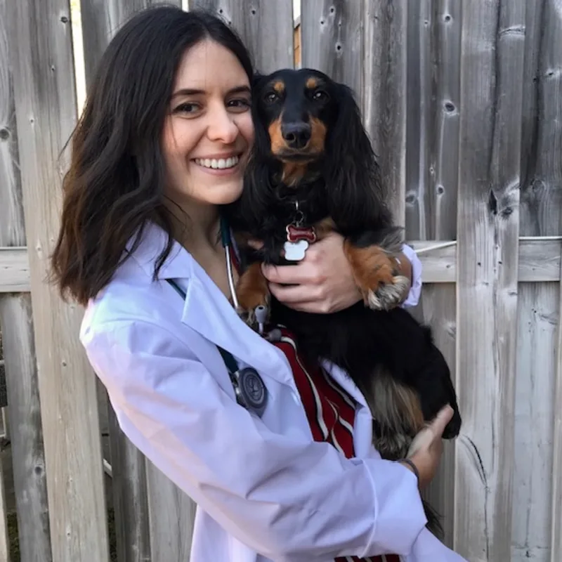 Dr. Chelsea Volkmann Dr. Chelsea Volkmann