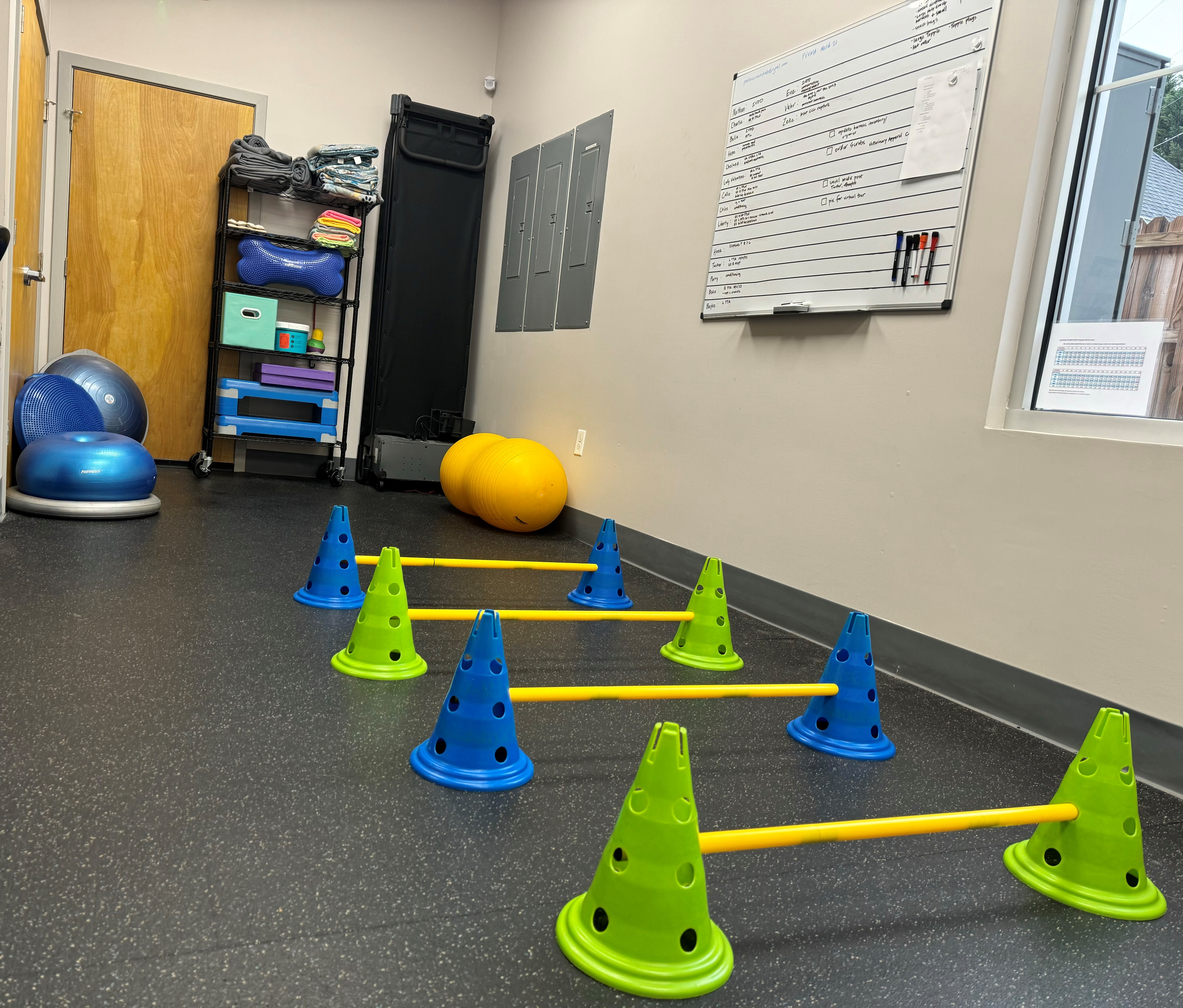 Jumping hurdles in rehab room