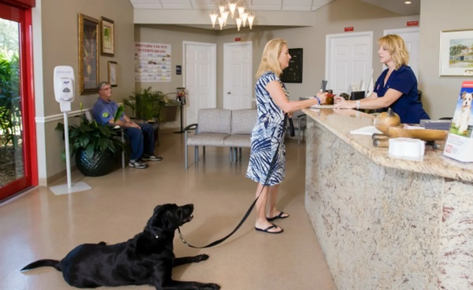 A Woman Checks Her Dog Into the Animal Specialty & Emergency Center of Brevard