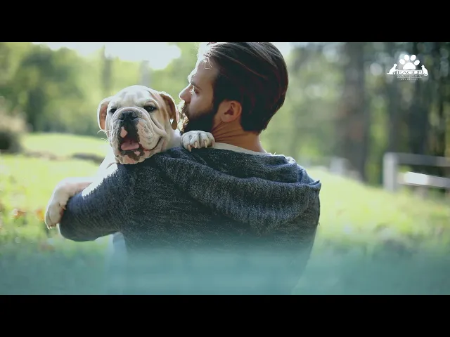 A youtube thumbnail for veterinary services