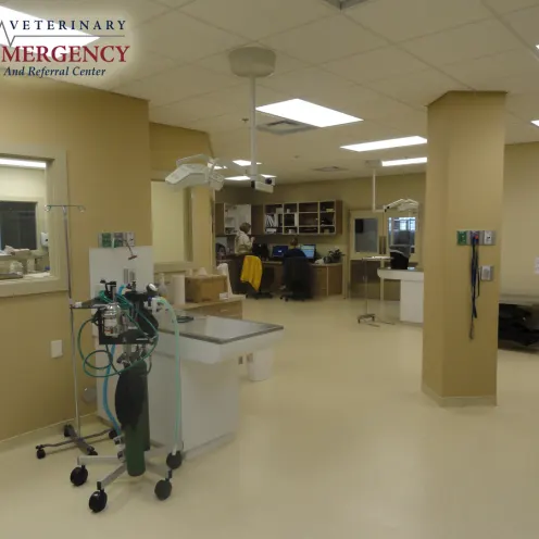 Radiography and x-ray imaging rooms at Emergency Veterinary Hospital