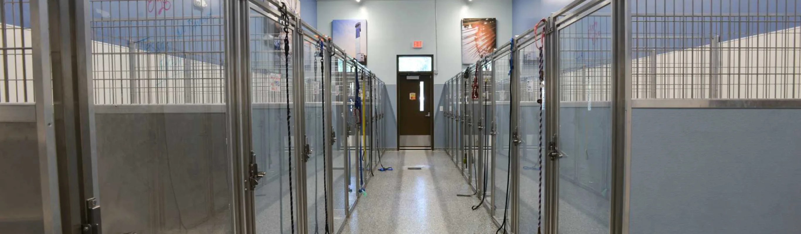 Canine boarding Canine boarding