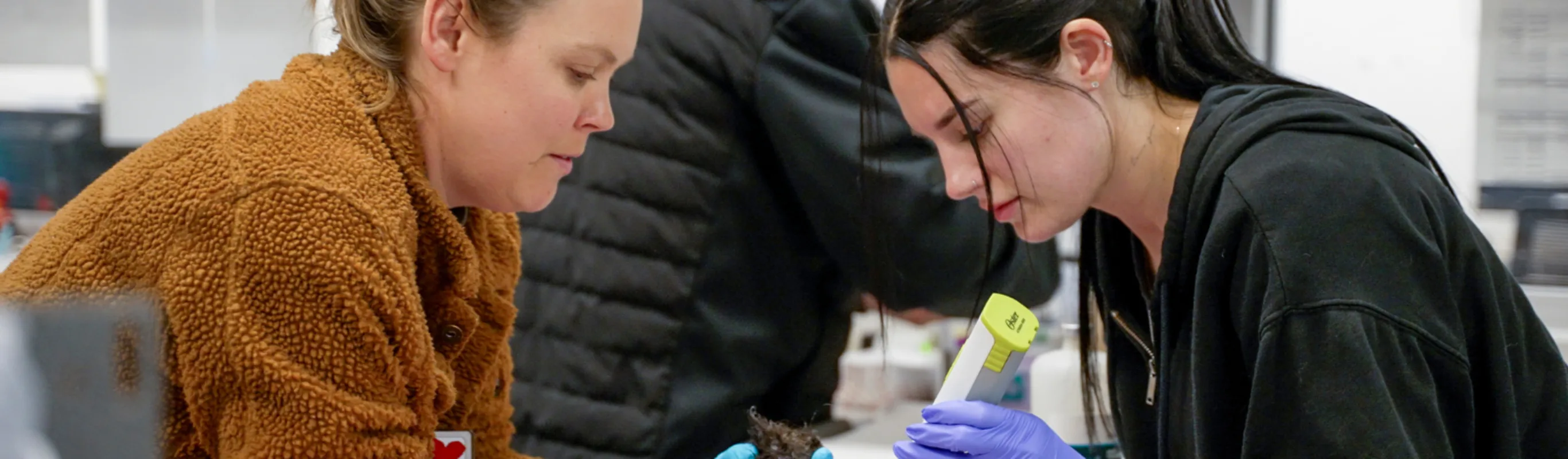 Two staff members administering medicine to a pet on an exam table Two staff members administering medicine to a pet on an exam table