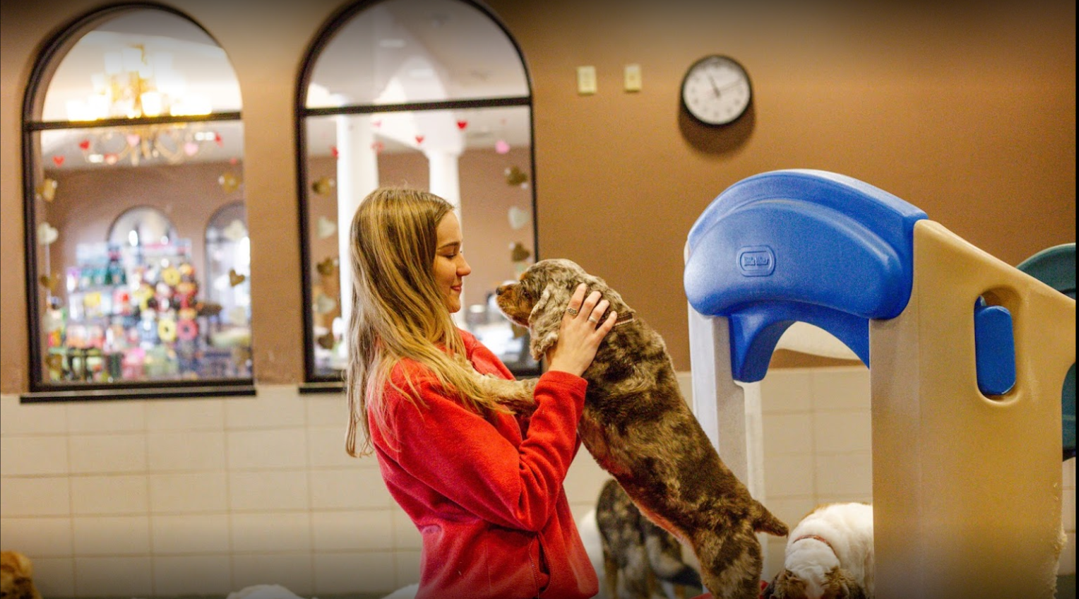 dogs sitting on slide