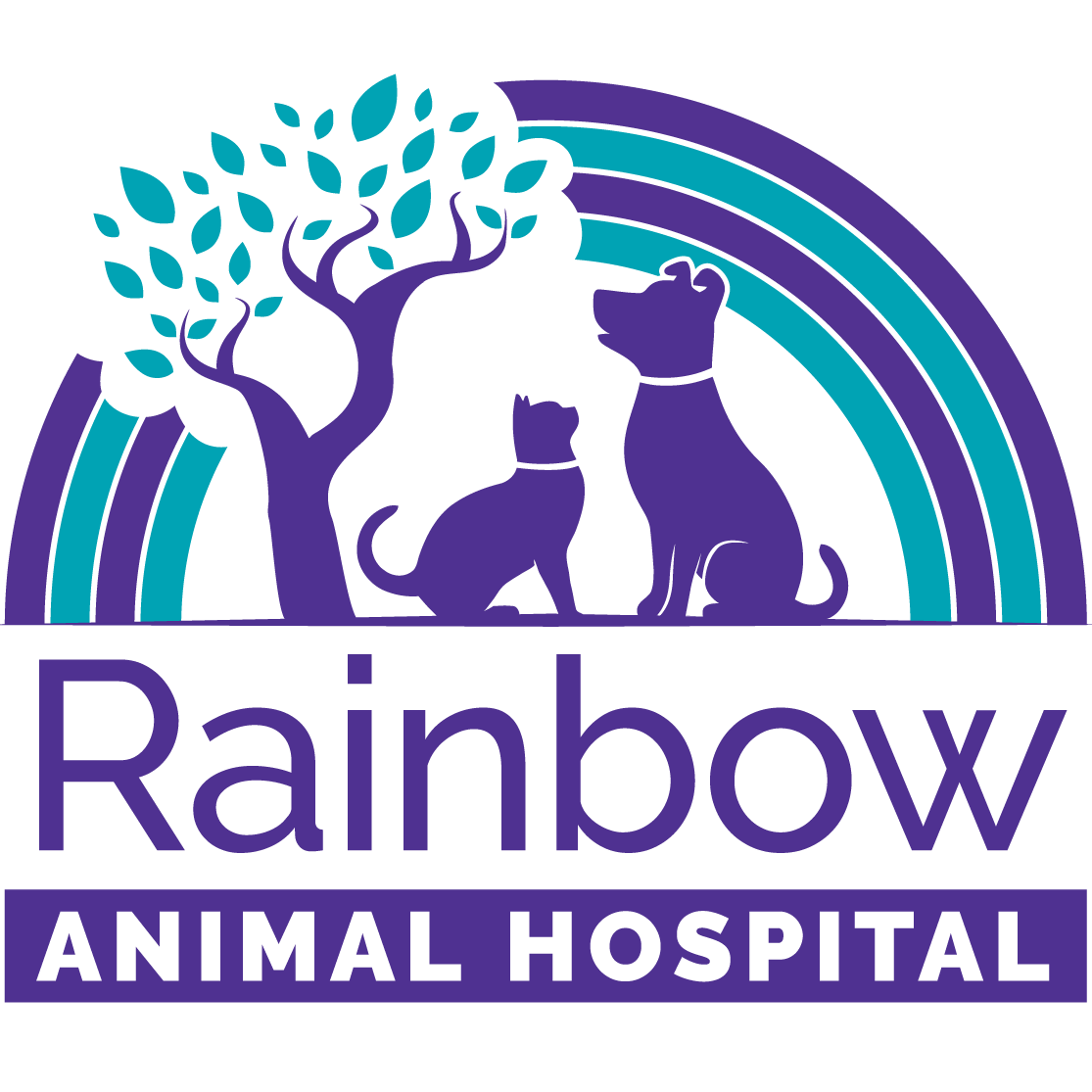 Full-Service Veterinarians in Las Vegas, NV | Rainbow Animal Hospital