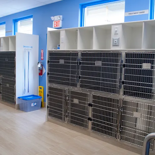 Treatment recovery room Treatment recovery room