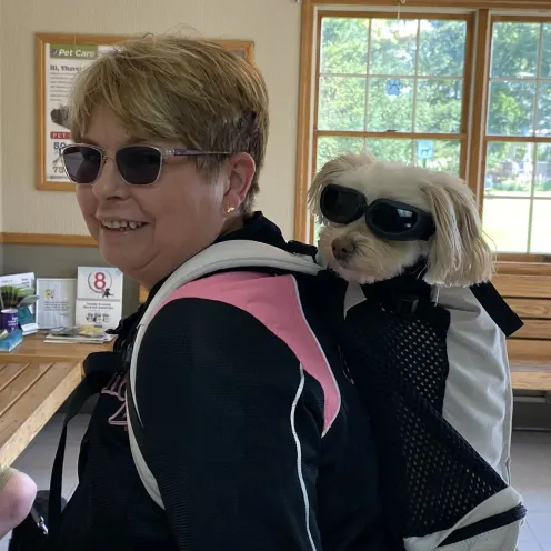 Dog in Backpack with Sunglasses