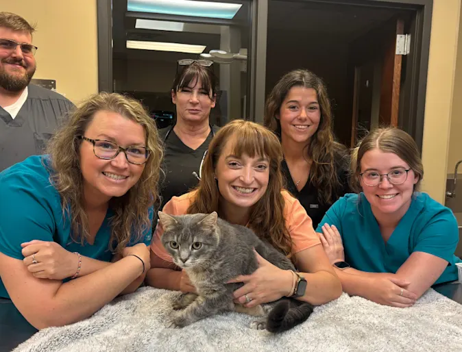 Animal Medical Center of Greeneville saves cat through rare skin graft procedure Animal Medical Center of Greeneville saves cat through rare skin graft procedure