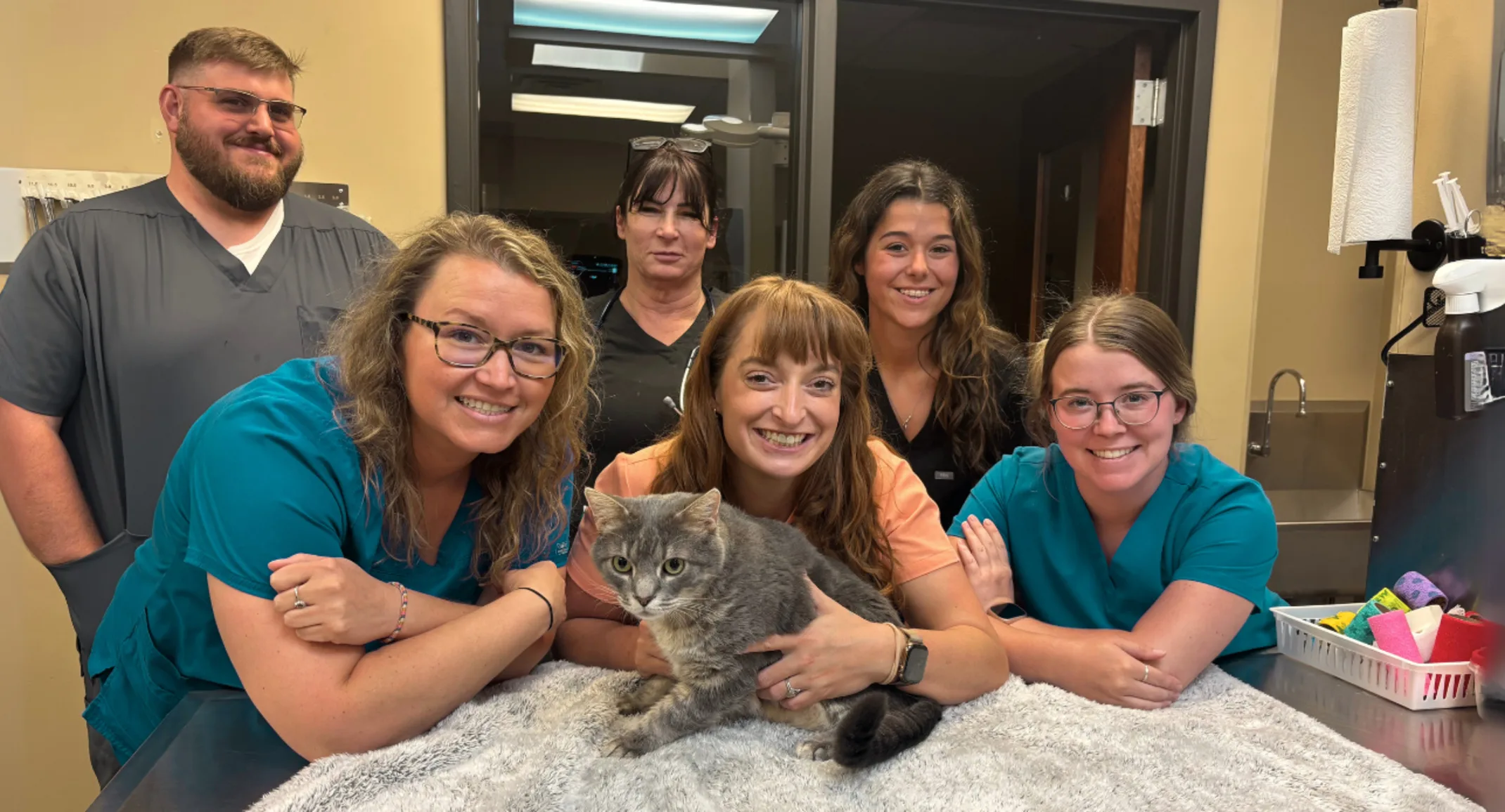 Animal Medical Center of Greeneville saves cat through rare skin graft procedure Animal Medical Center of Greeneville saves cat through rare skin graft procedure