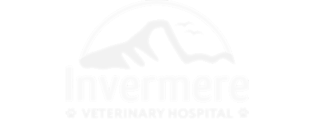 Invermere Veterinary Hospital Logo Invermere Veterinary Hospital Logo