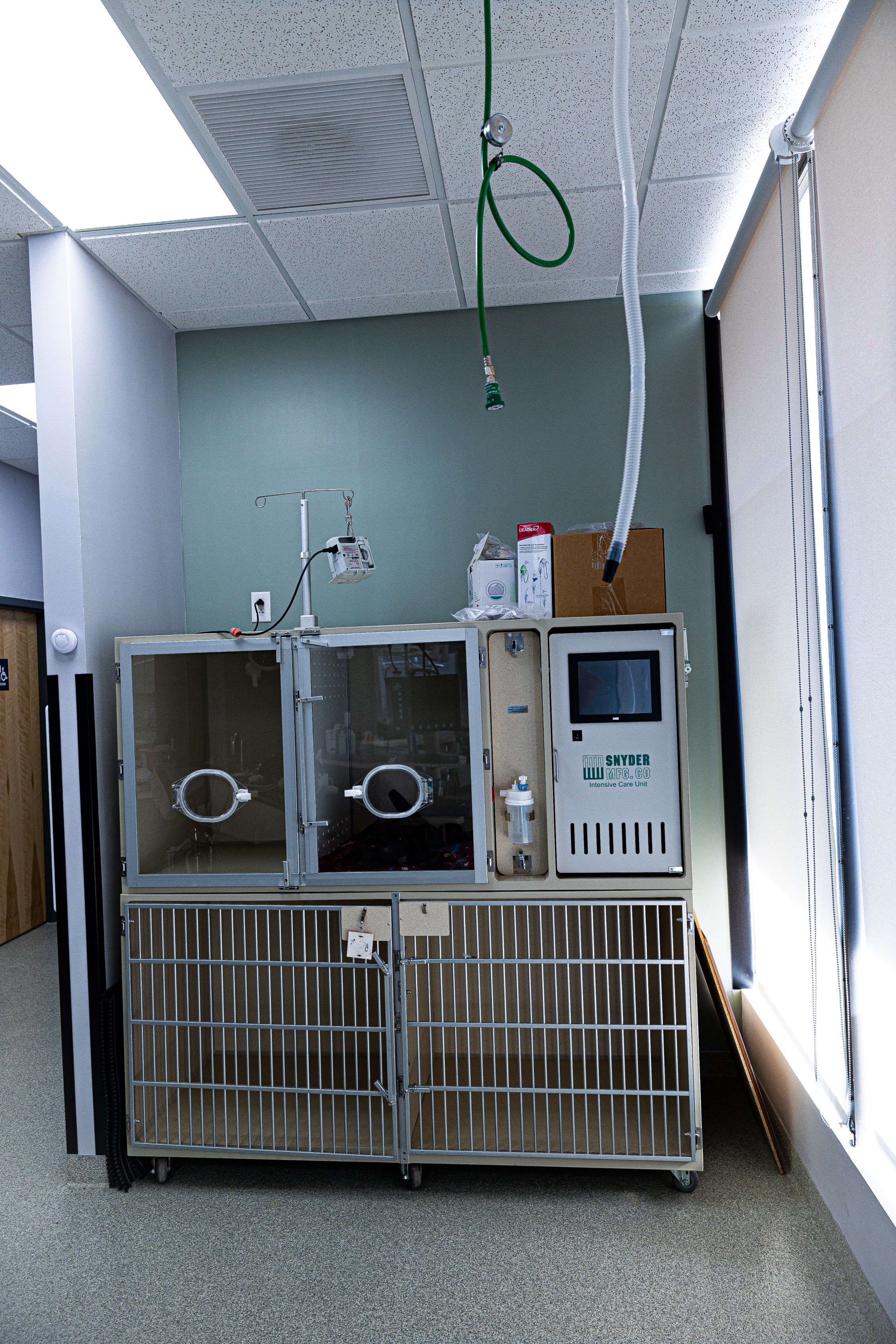 Kennels at ABQ Petcare Hospital 