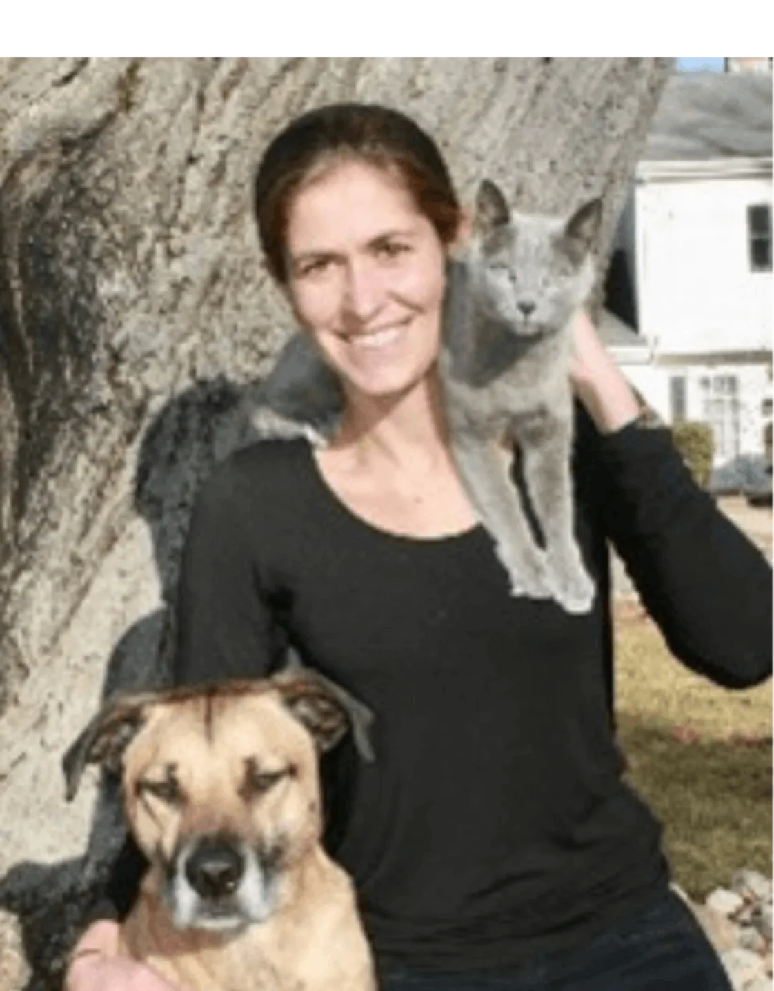 Katherine Wheeler Katherine Wheeler