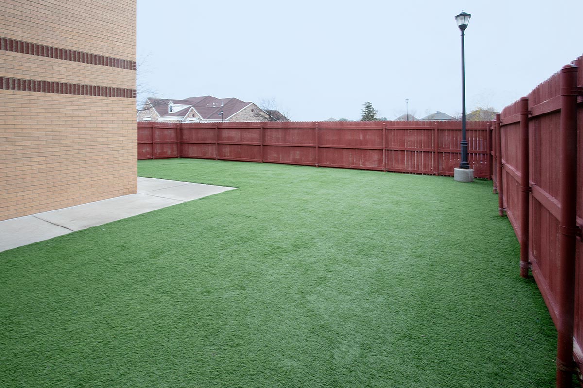 Alliance Animal Health Center Back yard