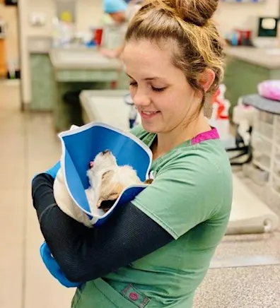 Erin, RVT at Abby Pet Hospital Erin, RVT at Abby Pet Hospital