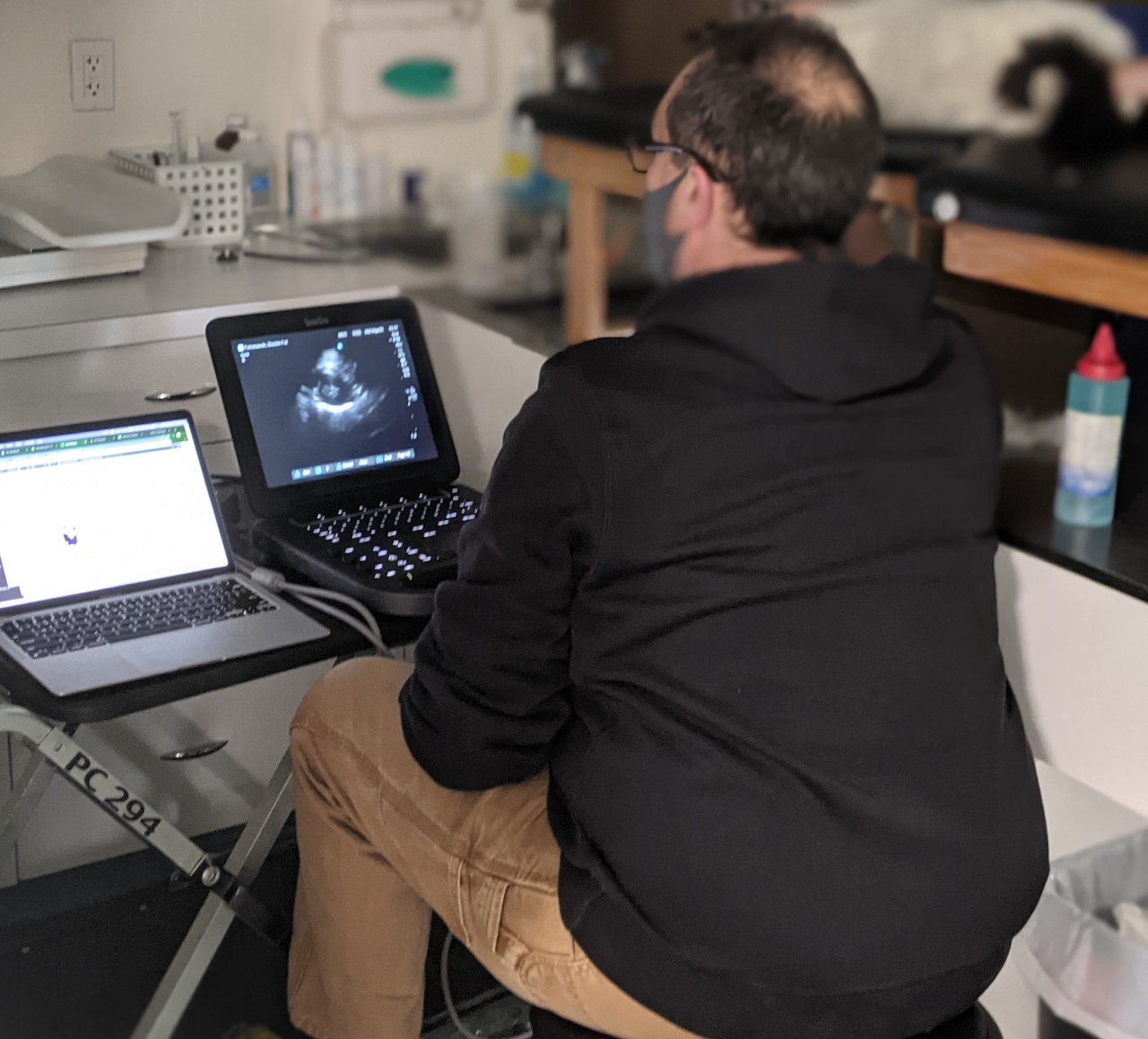 Staff member looking at diagnostic equipment