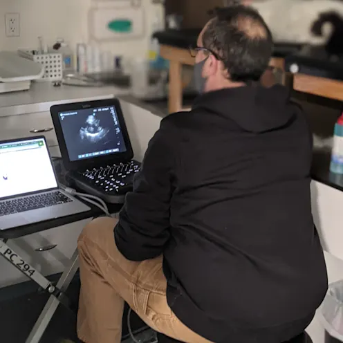 Staff member looking at diagnostic equipment Staff member looking at diagnostic equipment