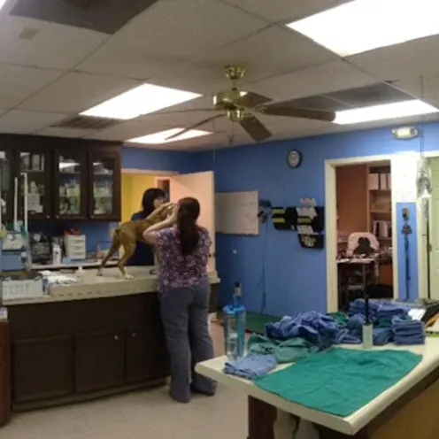 Northwest Rankin Animal Clinic Treatment Room