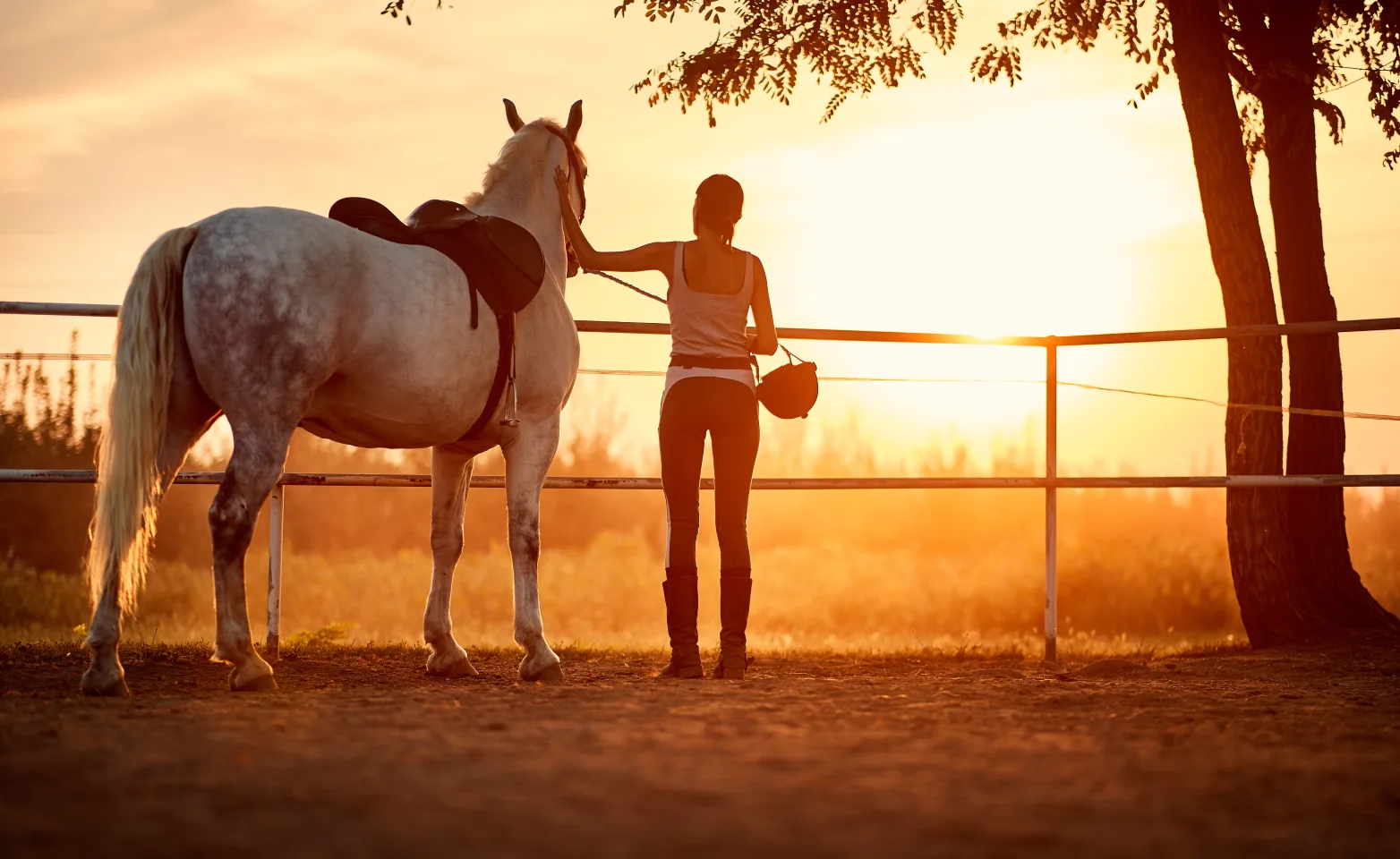 woman and horse looking at sunset next to a tree