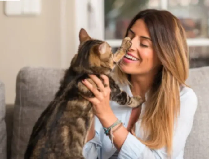 Woman Playing with a Brown Cat