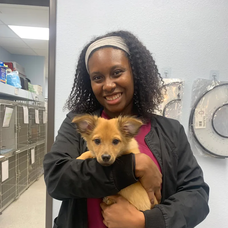 Karyn Lupoe-Webb Karyn Lupoe-Webb