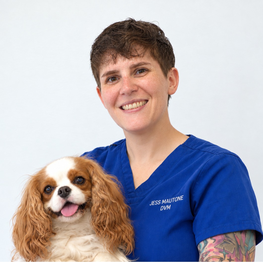 Dr. Jess Mautone