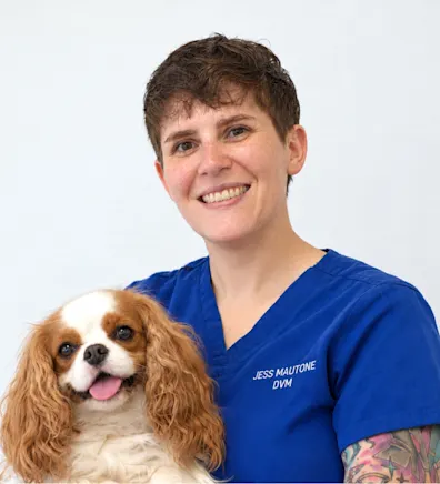 Dr. Jess Mautone Dr. Jess Mautone