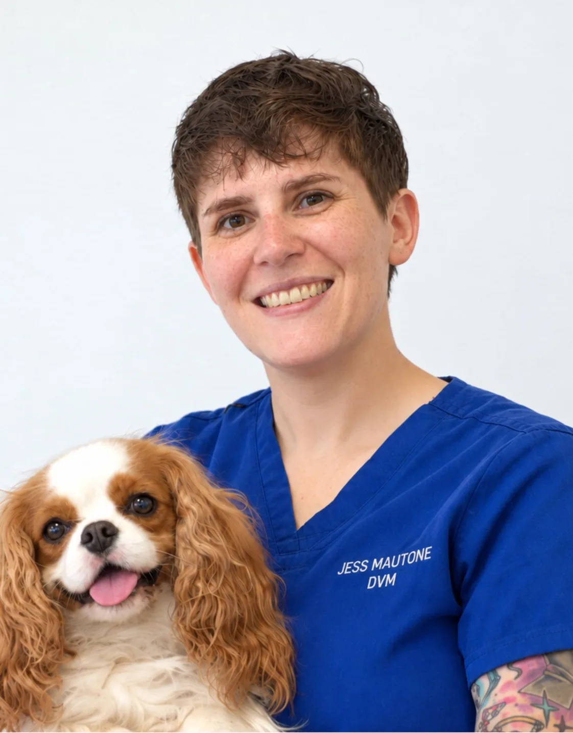 Dr. Jess Mautone Dr. Jess Mautone