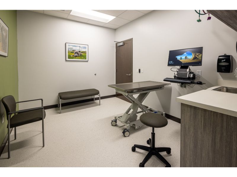 Check up room 2