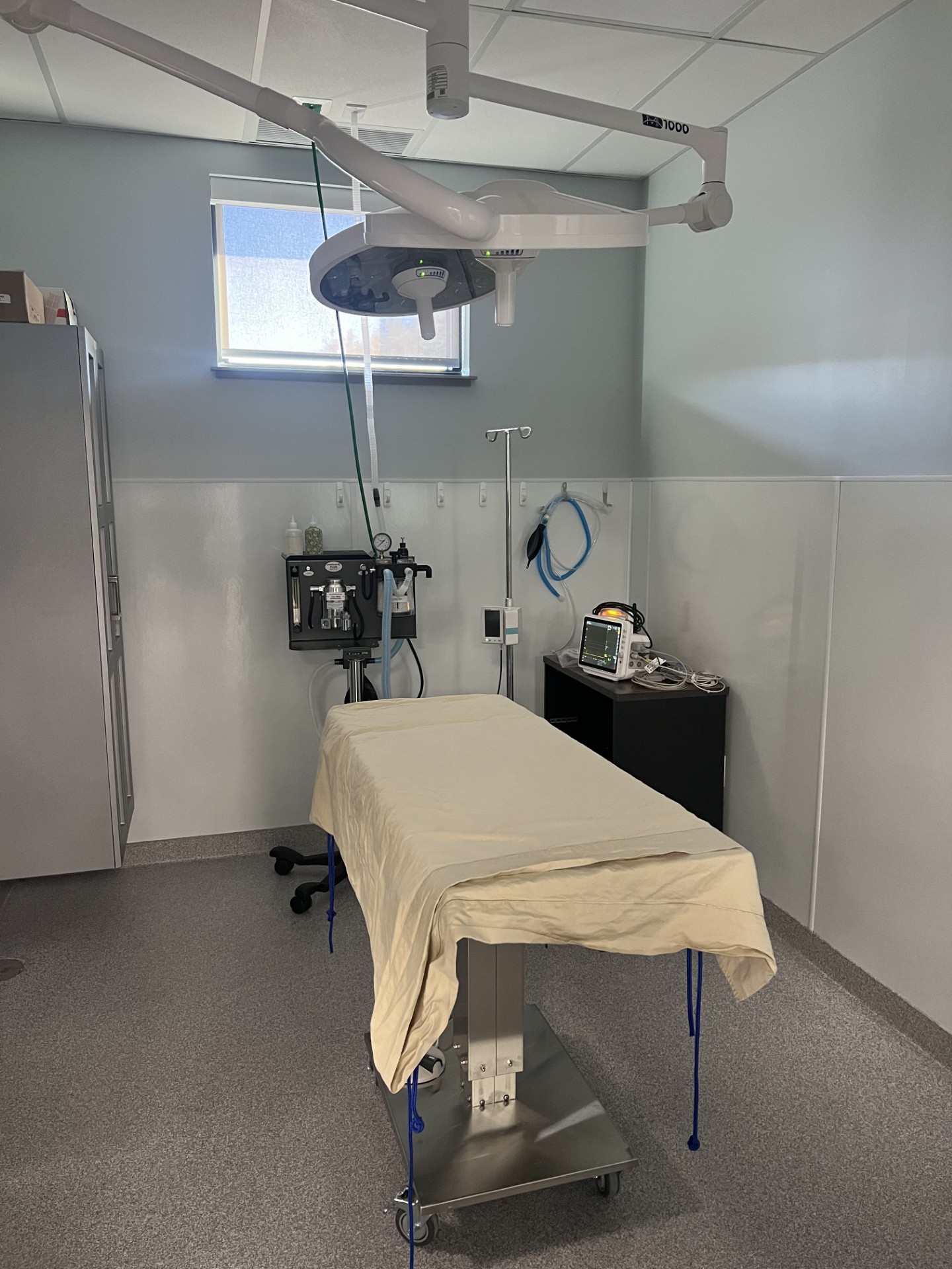 Our Surgery Room