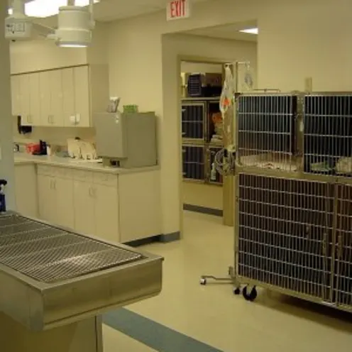 Small Animal Hospital Treatment Room