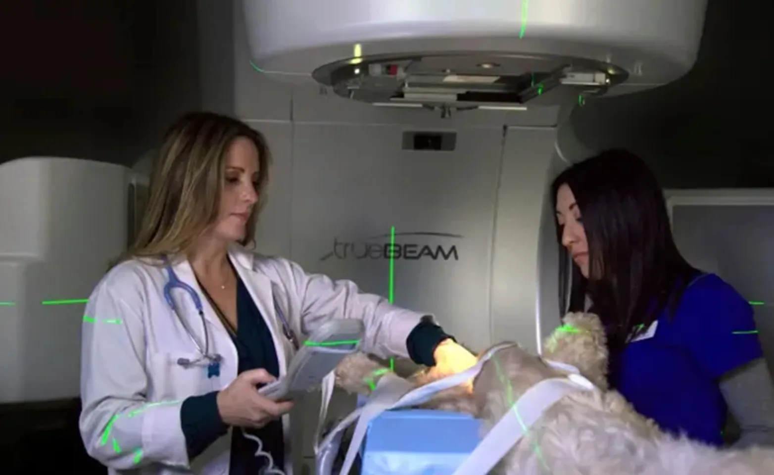 Staff scanning animal at Animal Specialty Center Staff scanning animal at Animal Specialty Center