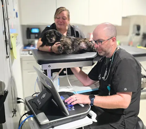 Dr. Harmon examining a dog Dr. Harmon examining a dog