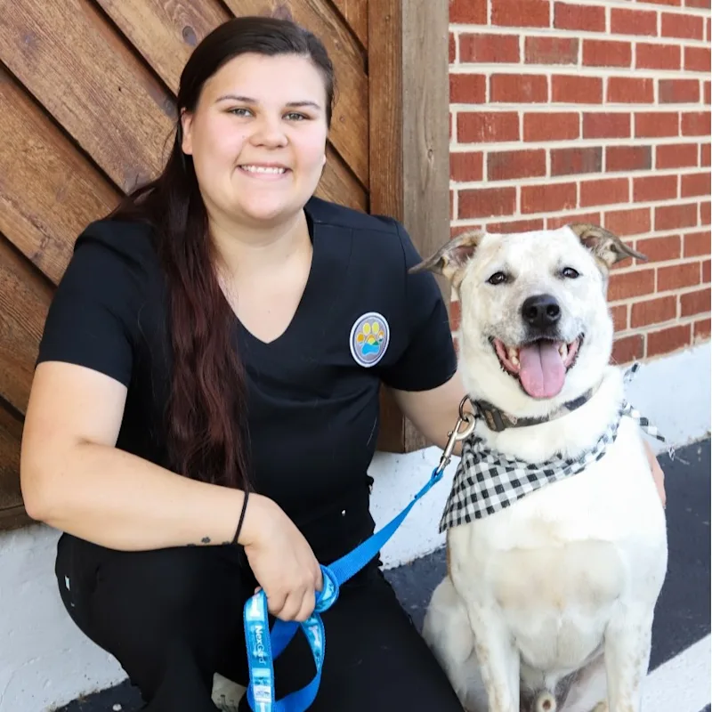 Taylor Camp Taylor Camp