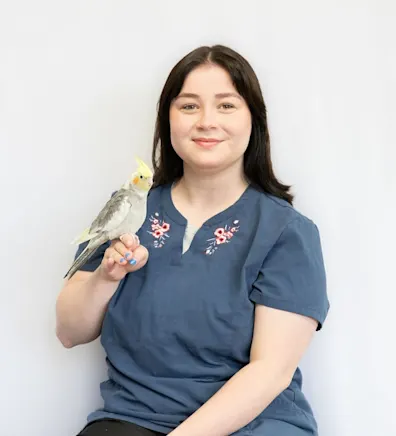 Laura Traill Laura Traill