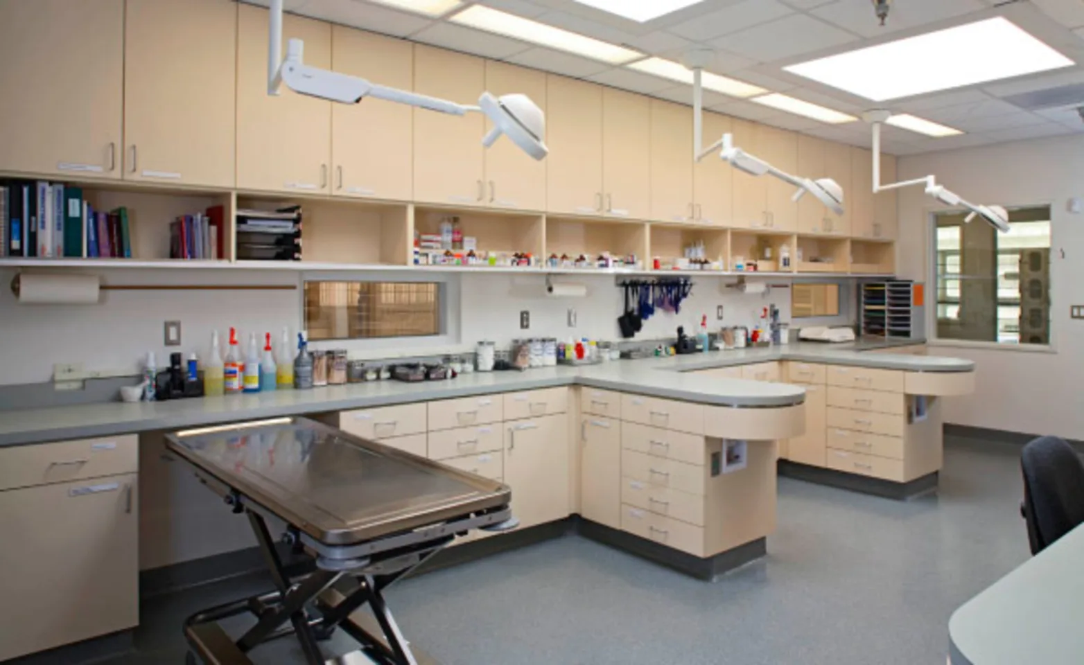 Park Centre Animal Hospital treatment room Park Centre Animal Hospital treatment room