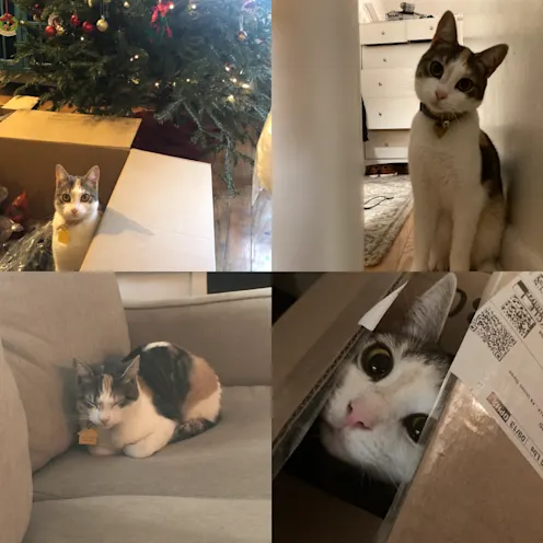 Skyler Weller Skyler Weller