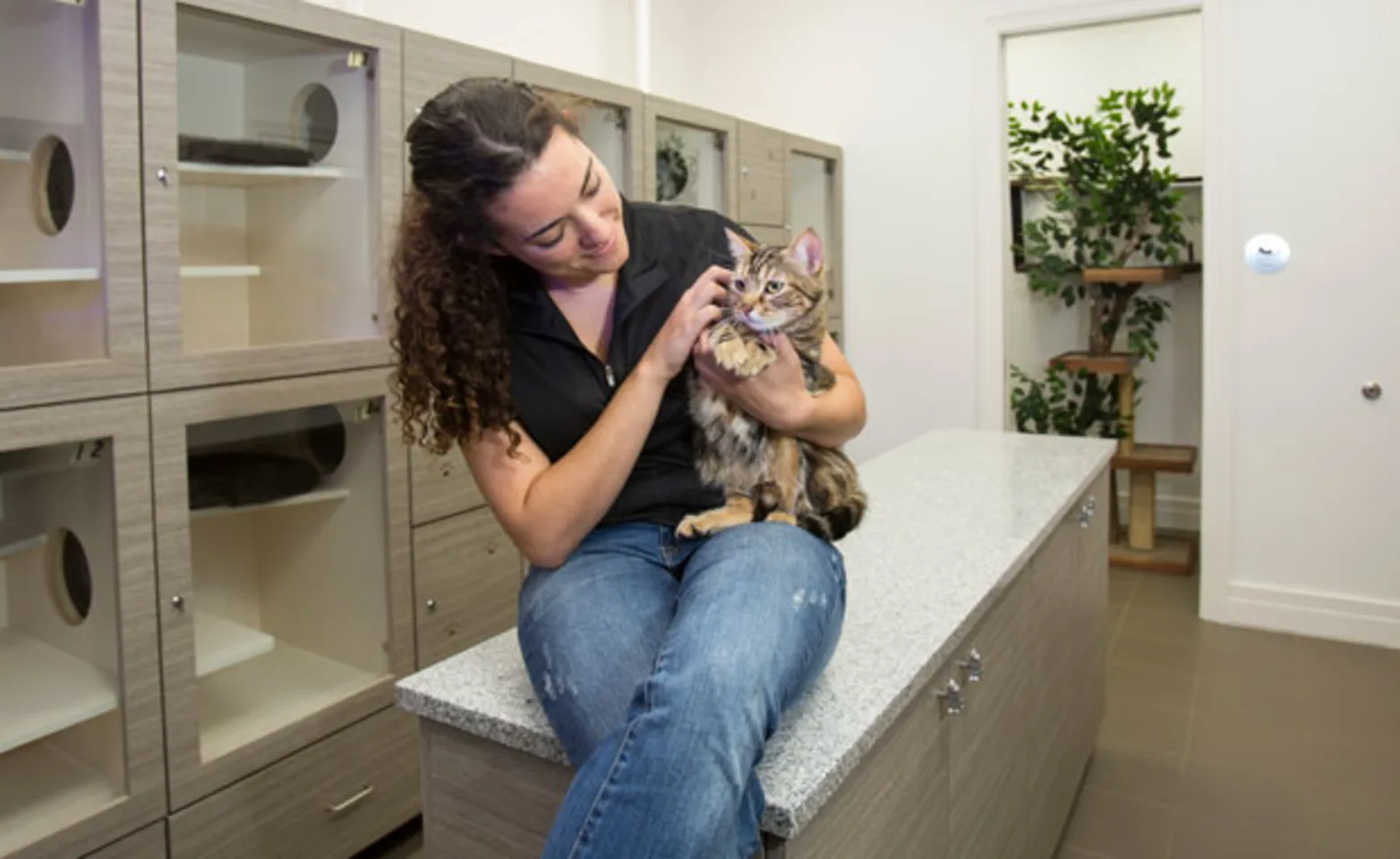 A lady holding a brown cat in a cat room suites