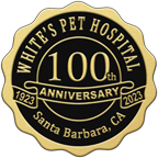 100th Anniversary Logo
