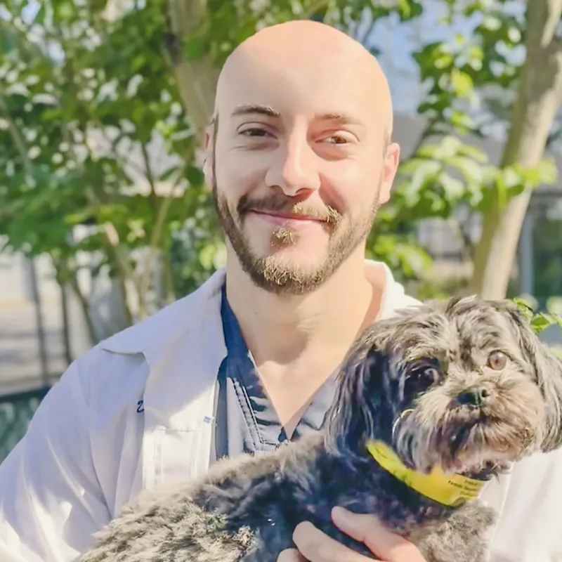 Dr. Reid Davis Dr. Reid Davis
