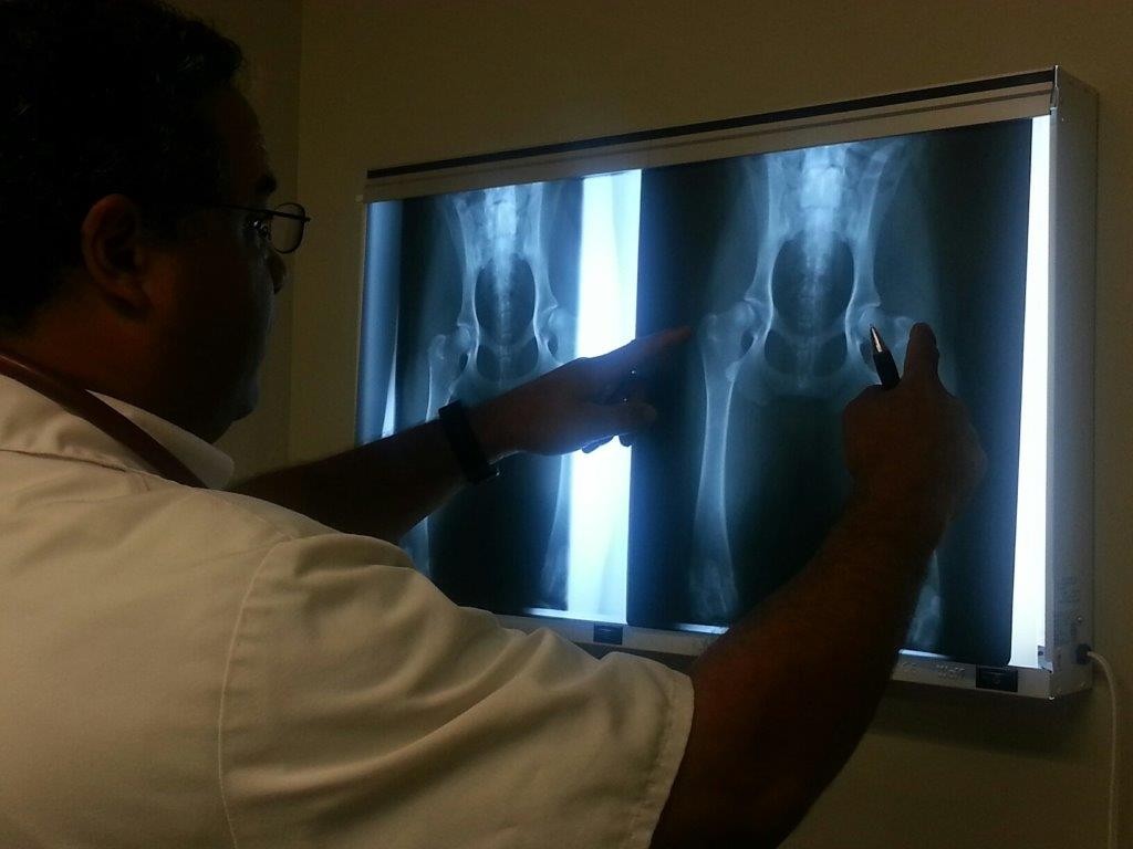 Dr. McWatt examining an x-ray.