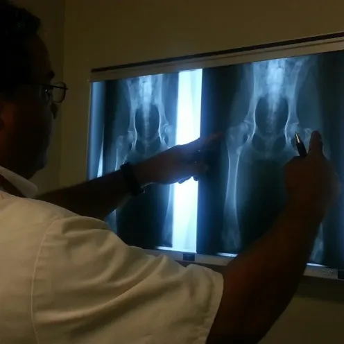 Dr. McWatt examining an x-ray.