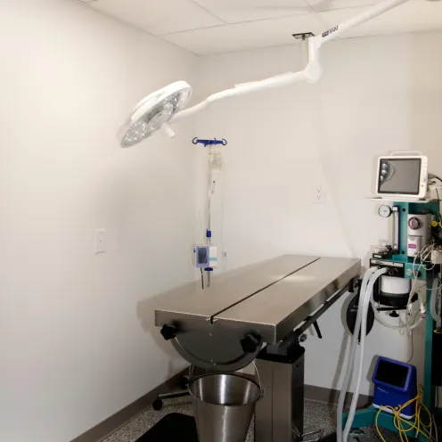 Surgery exam room with large table and monitoring equipment