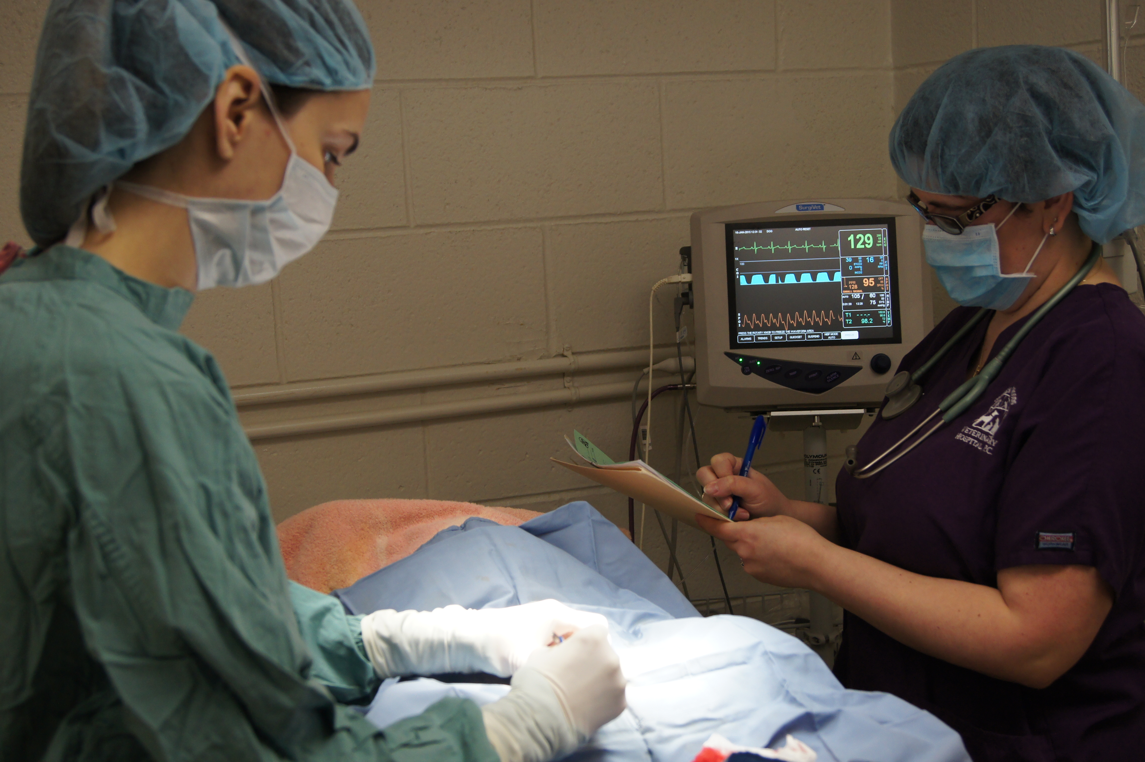 Warren Woods Veterinary Hospital Surgery