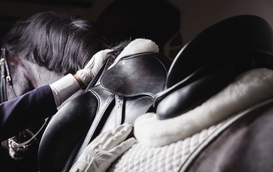 Performance Horse Saddle Equipment