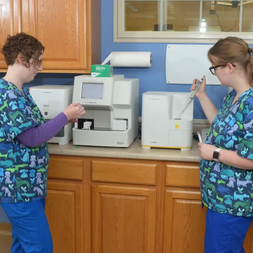 Two Veterinary staff in front of medical equipment