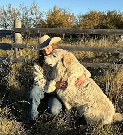 Outline drawing of a puppy Outline drawing of a puppy