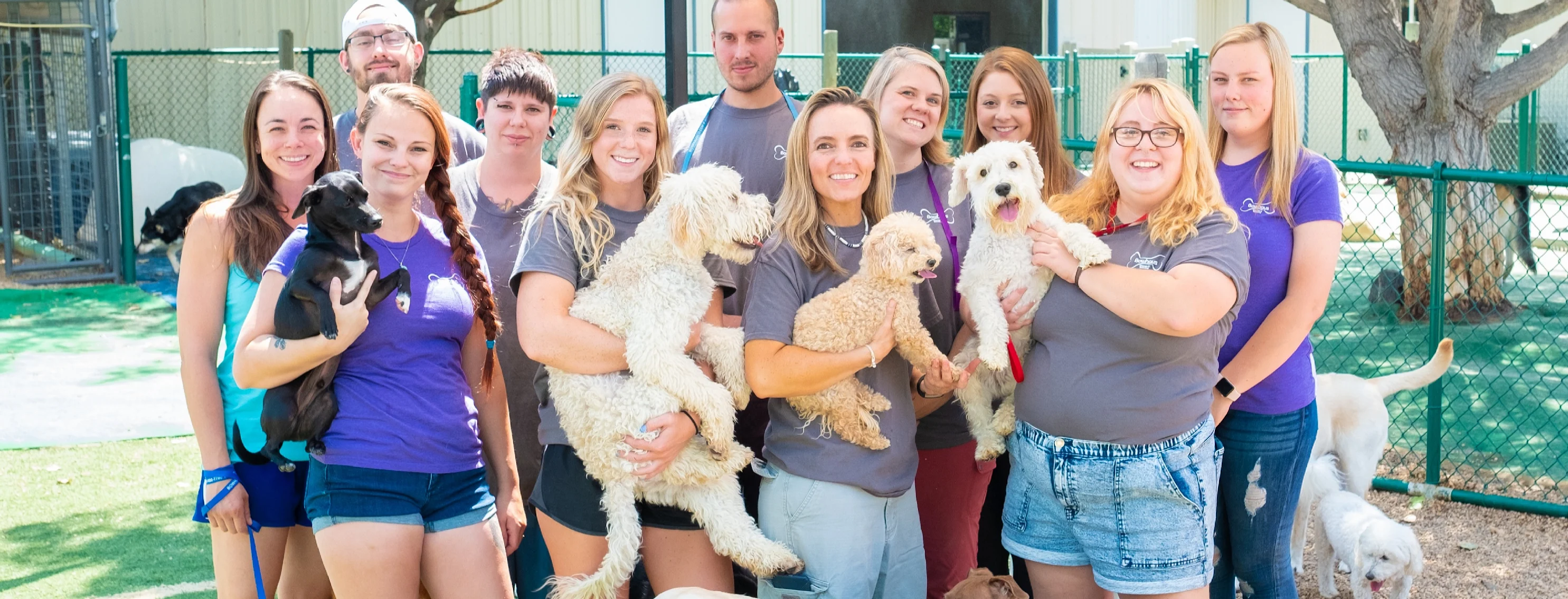Bowhaus Colorado staff with dogs at dog daycare Bowhaus Colorado staff with dogs at dog daycare